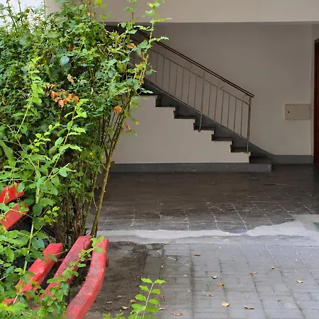 Nest Korce